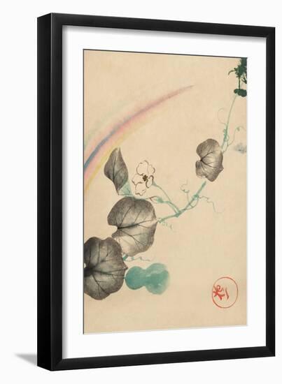 Squash Vine With Blossom, Squash, And Rainbow-null-Framed Art Print