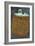Squashed and Split Aluminium Drinks Can with Rusty Sides Lying on Tarnished Metal Sheet-Den Reader-Framed Photographic Print