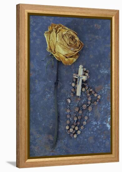 Squashed Dried Rose Once Cream And Now Brown-Den Reader-Framed Premier Image Canvas