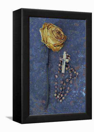 Squashed Dried Rose Once Cream And Now Brown-Den Reader-Framed Premier Image Canvas