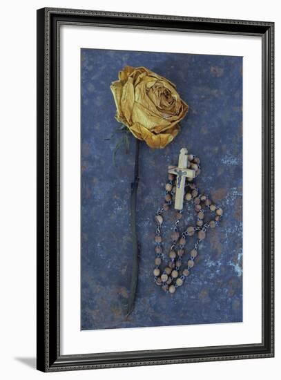 Squashed Dried Rose Once Cream And Now Brown-Den Reader-Framed Photographic Print