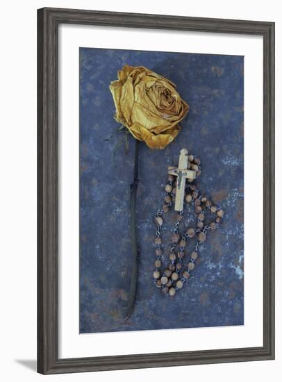 Squashed Dried Rose Once Cream And Now Brown-Den Reader-Framed Photographic Print