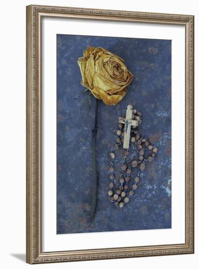 Squashed Dried Rose Once Cream And Now Brown-Den Reader-Framed Photographic Print