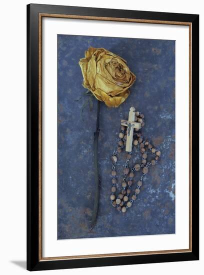 Squashed Dried Rose Once Cream And Now Brown-Den Reader-Framed Photographic Print