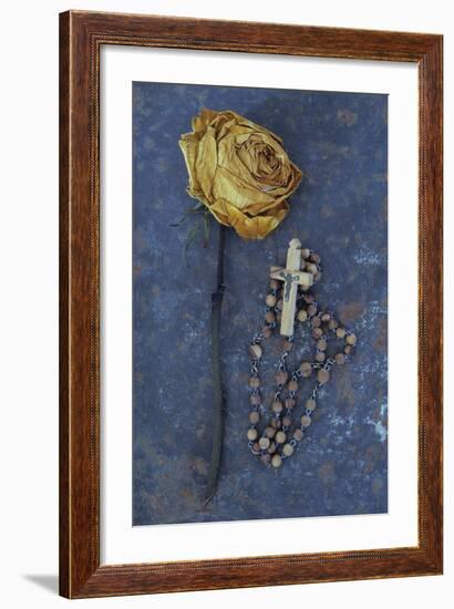 Squashed Dried Rose Once Cream And Now Brown-Den Reader-Framed Photographic Print