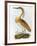 Squated Heron-Prideaux Selby-Framed Giclee Print