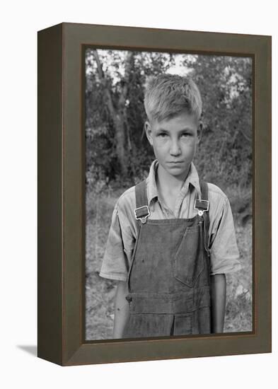 Squatter Boy-Dorothea Lange-Framed Stretched Canvas