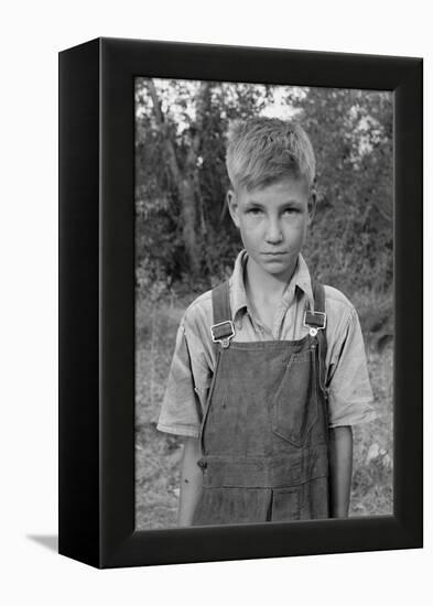 Squatter Boy-Dorothea Lange-Framed Stretched Canvas