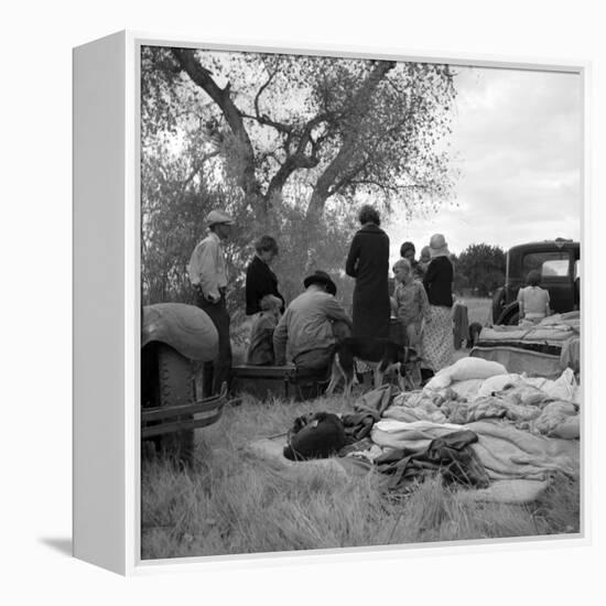 Squatters along highway near Bakersfield, California, 1935-Dorothea Lange-Framed Premier Image Canvas