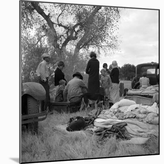 Squatters along highway near Bakersfield, California, 1935-Dorothea Lange-Mounted Photographic Print