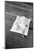 Squeakie asleep in Hale County, Alabama, 1936-Walker Evans-Mounted Photographic Print