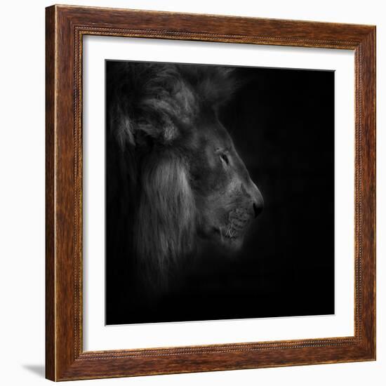 Squeeze-Ruud Peters-Framed Photographic Print