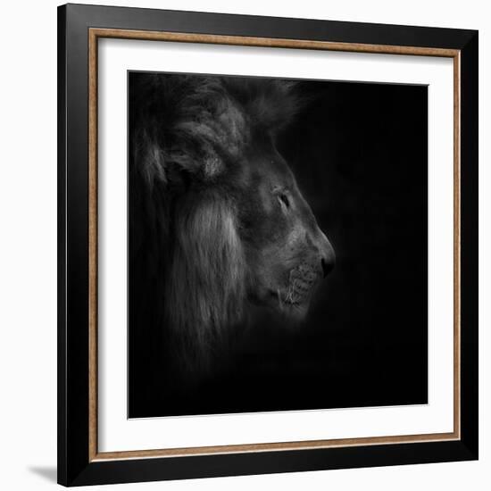 Squeeze-Ruud Peters-Framed Photographic Print