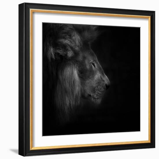 Squeeze-Ruud Peters-Framed Photographic Print