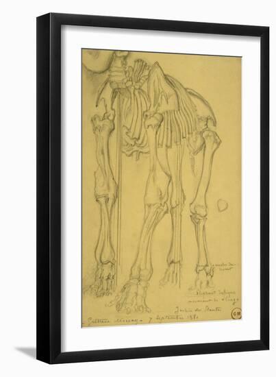 Squelette d'éléphant-Gustave Moreau-Framed Giclee Print