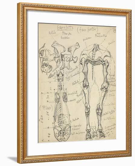 Squelette de cheval-Eugène Samuel Grasset-Framed Giclee Print