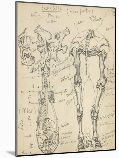 Squelette de cheval-Eugène Samuel Grasset-Mounted Giclee Print