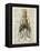 Squid 2-Tina Carlson-Framed Stretched Canvas