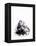 Squid in its Own Ink-Nicolas Lemonnier-Framed Premier Image Canvas