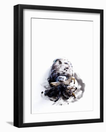 Squid in its Own Ink-Nicolas Lemonnier-Framed Photographic Print