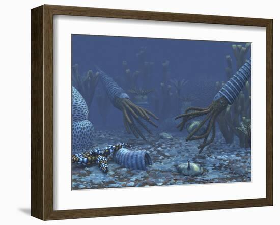 Squid-like Orthoceratites Attempt To Make Meals of Trilobites-Stocktrek Images-Framed Photographic Print