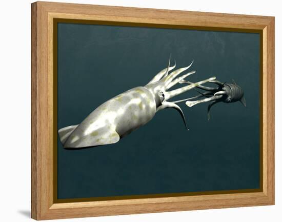 Squid Mating-Christian Darkin-Framed Premier Image Canvas