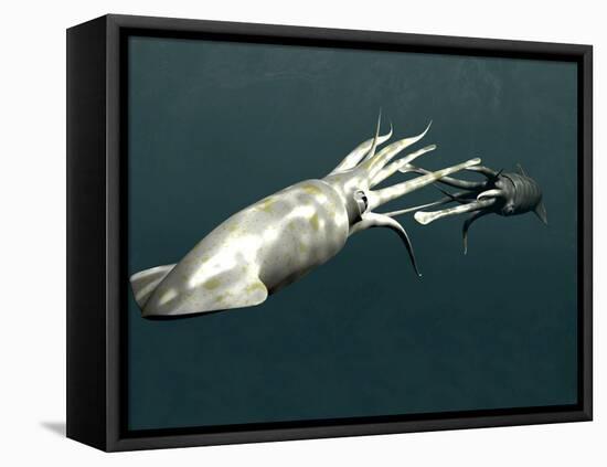 Squid Mating-Christian Darkin-Framed Premier Image Canvas
