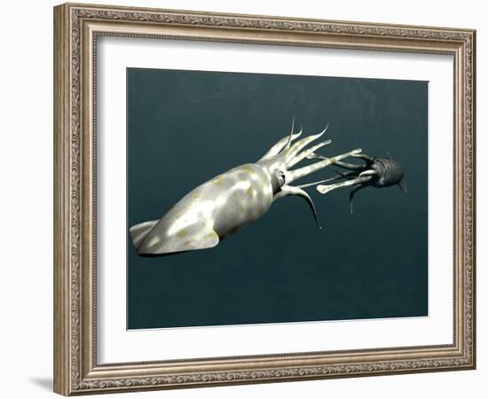 Squid Mating-Christian Darkin-Framed Photographic Print