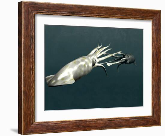 Squid Mating-Christian Darkin-Framed Photographic Print