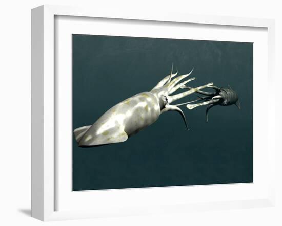 Squid Mating-Christian Darkin-Framed Photographic Print