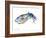 Squid-Suren Nersisyan-Framed Art Print