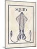 Squid-N. Harbick-Mounted Art Print