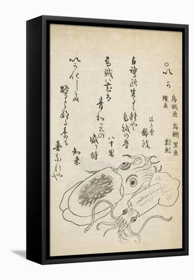 Squid-Katsuma Ryusai-Framed Premier Image Canvas