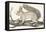 Squirrel, 1850 (Engraving)-Louis Simon (1810-1870) Lassalle-Framed Premier Image Canvas