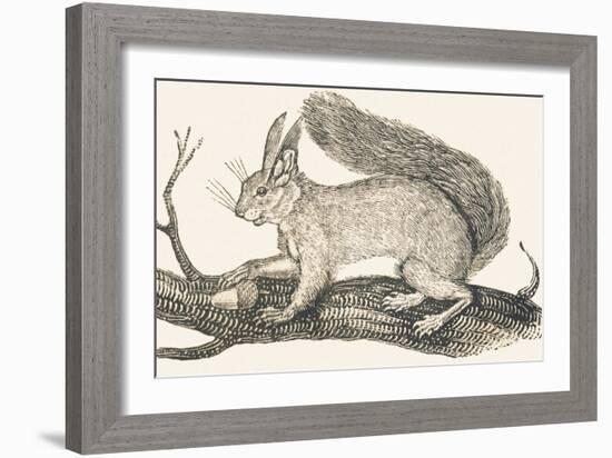 Squirrel, 1850 (Engraving)-Louis Simon (1810-1870) Lassalle-Framed Giclee Print