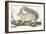 Squirrel, 1850 (Engraving)-Louis Simon (1810-1870) Lassalle-Framed Giclee Print