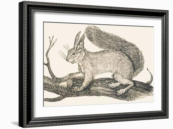 Squirrel, 1850 (Engraving)-Louis Simon (1810-1870) Lassalle-Framed Giclee Print