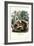 Squirrel, 1863-79-Raimundo Petraroja-Framed Giclee Print