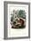 Squirrel, 1863-79-Raimundo Petraroja-Framed Giclee Print