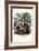 Squirrel, 1863-79-Raimundo Petraroja-Framed Giclee Print