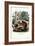 Squirrel, 1863-79-Raimundo Petraroja-Framed Giclee Print