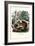 Squirrel, 1863-79-Raimundo Petraroja-Framed Giclee Print