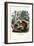 Squirrel, 1863-79-Raimundo Petraroja-Framed Premium Giclee Print