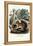 Squirrel, 1863-79-Raimundo Petraroja-Framed Premier Image Canvas