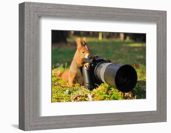 Squirrel as a Photographer with Big Professional Camera-Stanislav Duben-Framed Photographic Print
