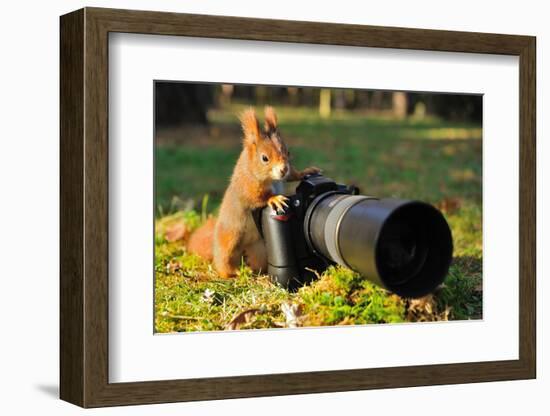 Squirrel as a Photographer with Big Professional Camera-Stanislav Duben-Framed Photographic Print