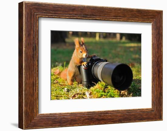 Squirrel as a Photographer with Big Professional Camera-Stanislav Duben-Framed Photographic Print