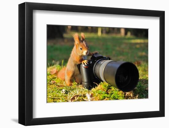 Squirrel as a Photographer with Big Professional Camera-Stanislav Duben-Framed Photographic Print