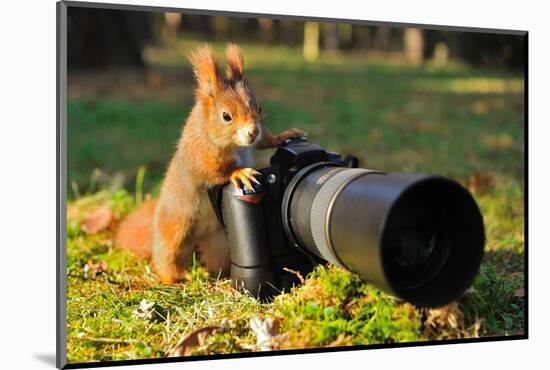 Squirrel as a Photographer with Big Professional Camera-Stanislav Duben-Mounted Photographic Print