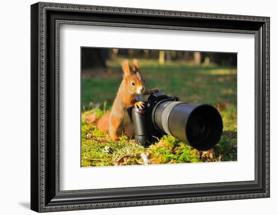 Squirrel as a Photographer with Big Professional Camera-Stanislav Duben-Framed Photographic Print